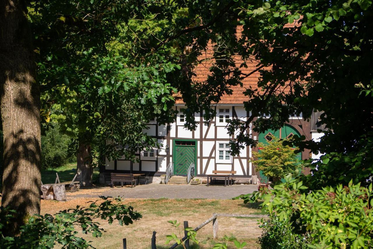 Vila Suffelmuehle Bad Driburg Exteriér fotografie