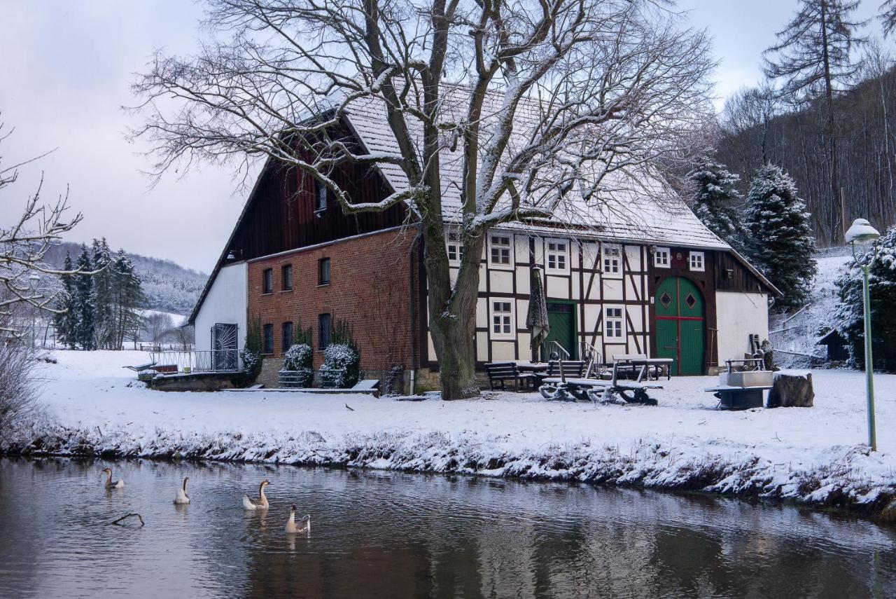 Vila Suffelmuehle Bad Driburg Exteriér fotografie